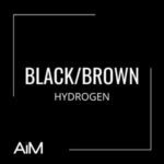 Black / Brown Hydrogen - Hydrogen Color Chart