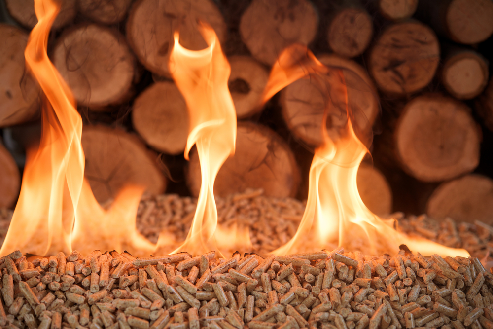 AiM Land Biomass Fire