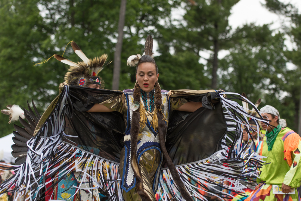 AiM Land Indigenous Dancer