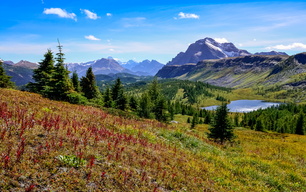 Aim Land Egypt Lake Banff