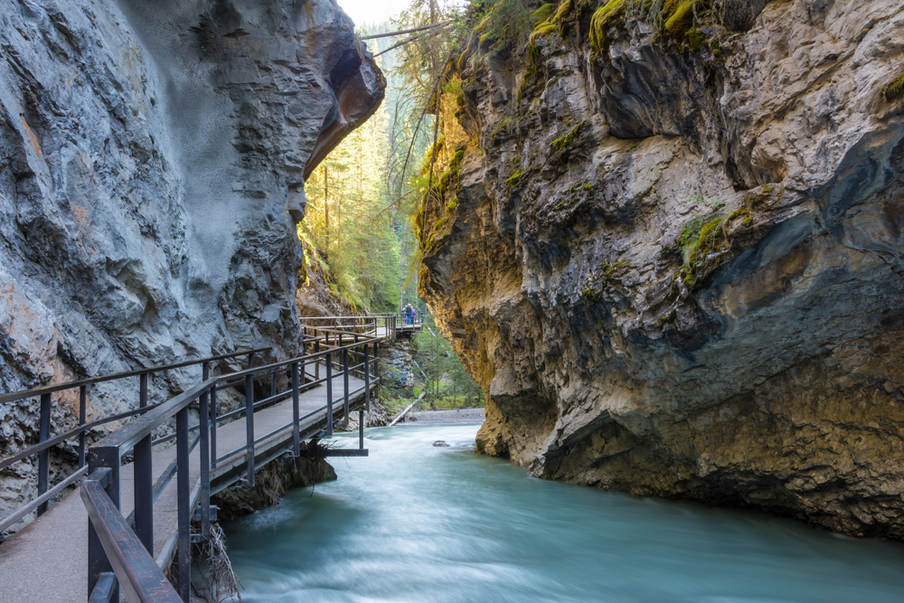 Aim Land Johnston Canyon Banff